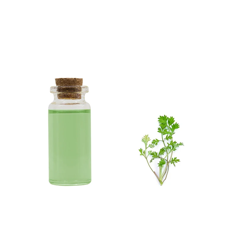 Organic pure Chinese mugwort Ay Tsao Wormwood leaf oil folium artemisiae argy oil in bulk