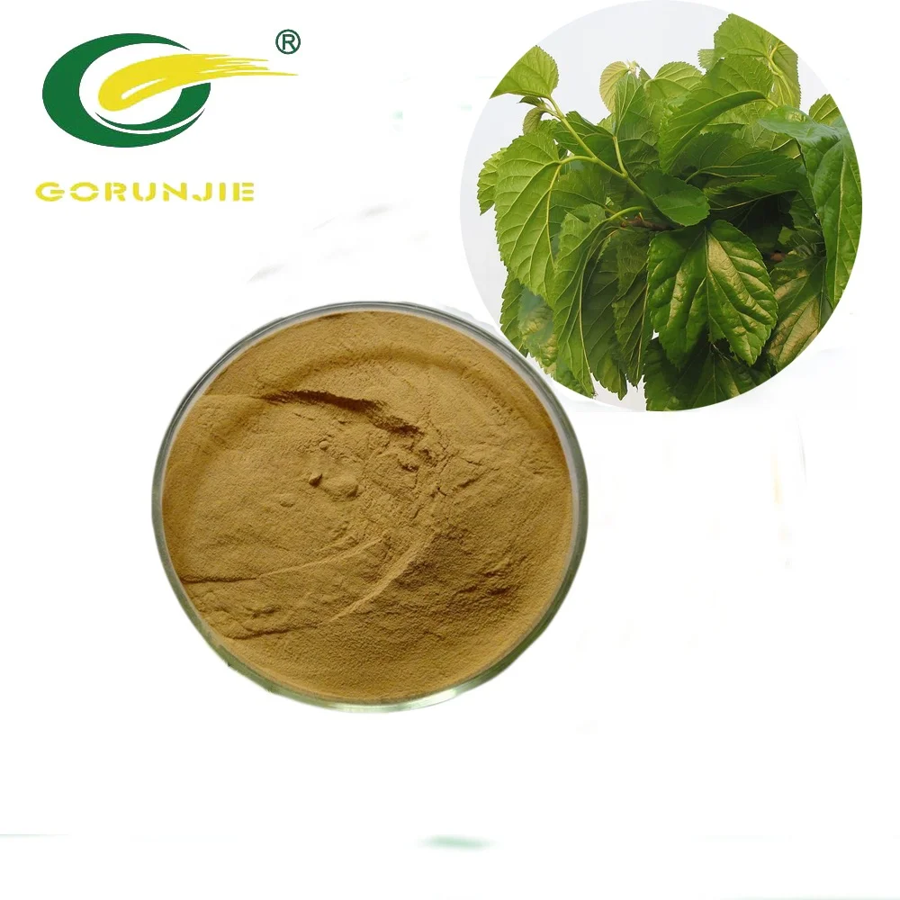 
High Quality Key Product Mulberry Leaf Extract 1-Deoxynojirimycin(1-DNJ) 20% Powder&OEM Service 