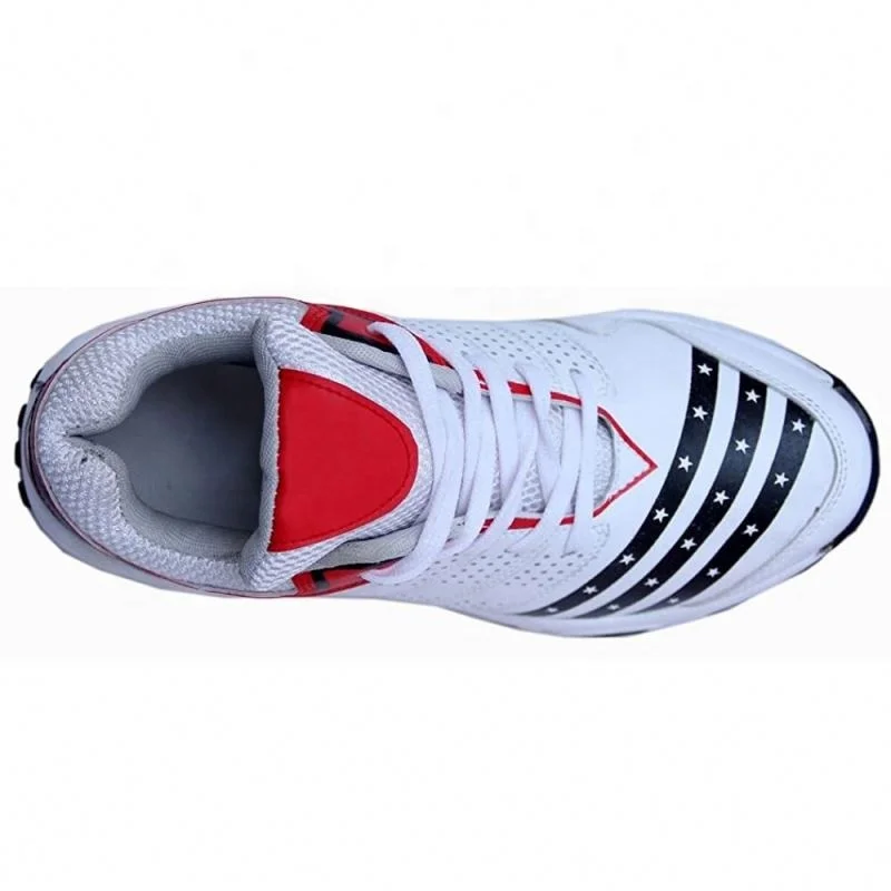 Custom 1 pair spikes cricket shoes for men