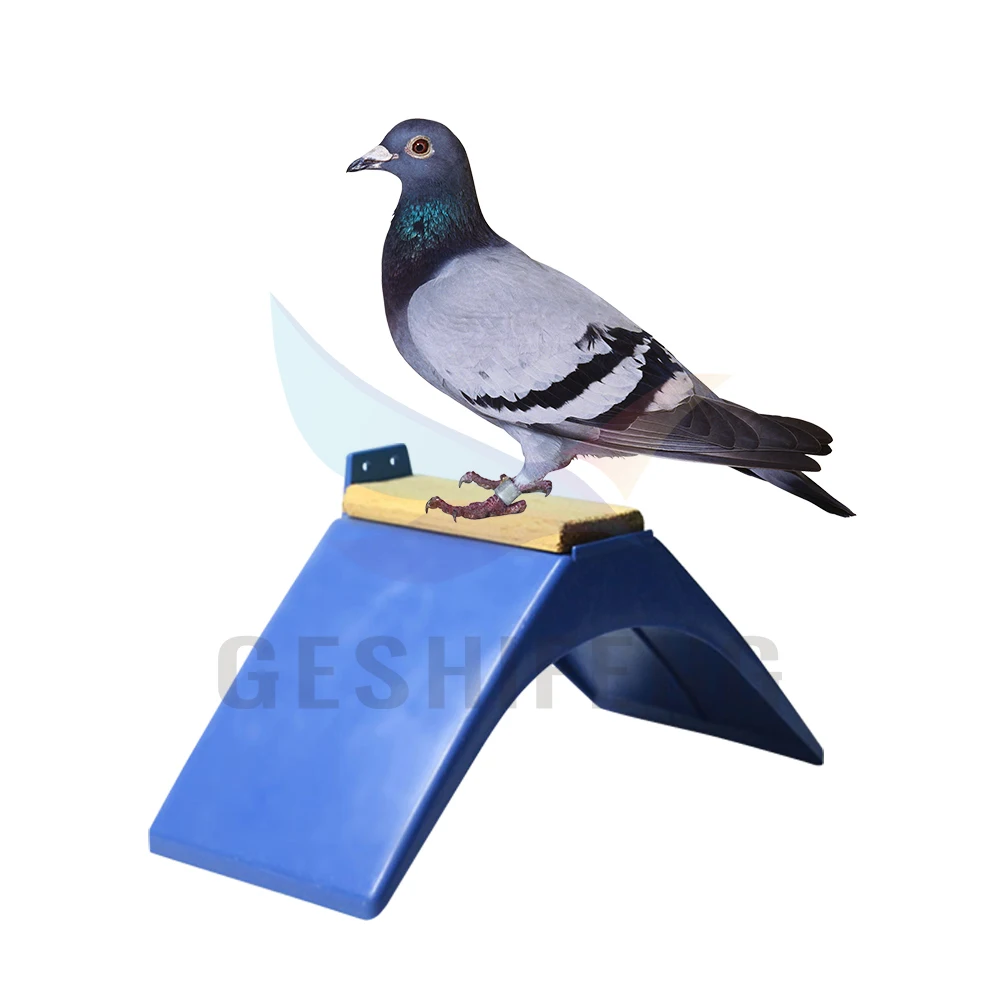 Factory Direct sell Plastic PSgeon Parrots Rest Stand Pigeon Bird Rest Perch