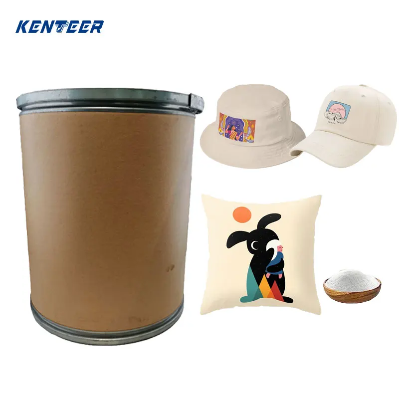 High Quality Heat Transfer Soft 500g 1kg Glue Hotmelt Adhesive Hot Melt White TPU DTF Powder Stretch For DTF Printer Printing