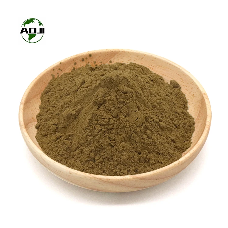 Pure Natural Ivy Leaf Extract 10% Total Saponins 3% 10% Hederacoside Powder