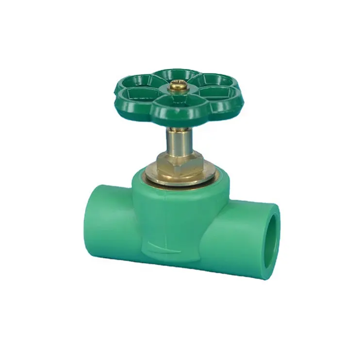 Китай профессиональное производство Германия дизайн Ppr обратный клапан Ppr запорный клапан