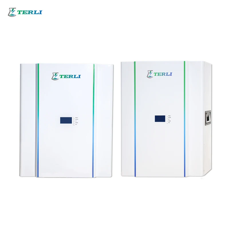 Terli Powerwall 48V 5Kwh 10Kwh Batterie Fotovoltaico Agli Ioni Di Litio Lifepo4 Energy Storage Lithium Ion Batteries