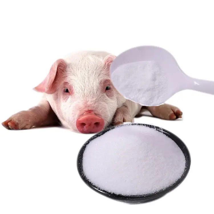 Feed Grade Amino Acids DL Methionine DL-Methionine Lysine L-Threonine Choline chloride