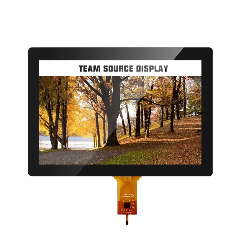 10.1 inch high resolution ips lcd display touch screen module with HD-MI-LVDS Board