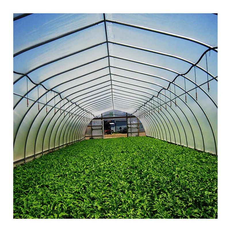 China Made Agriculture Single Span Greenhouse