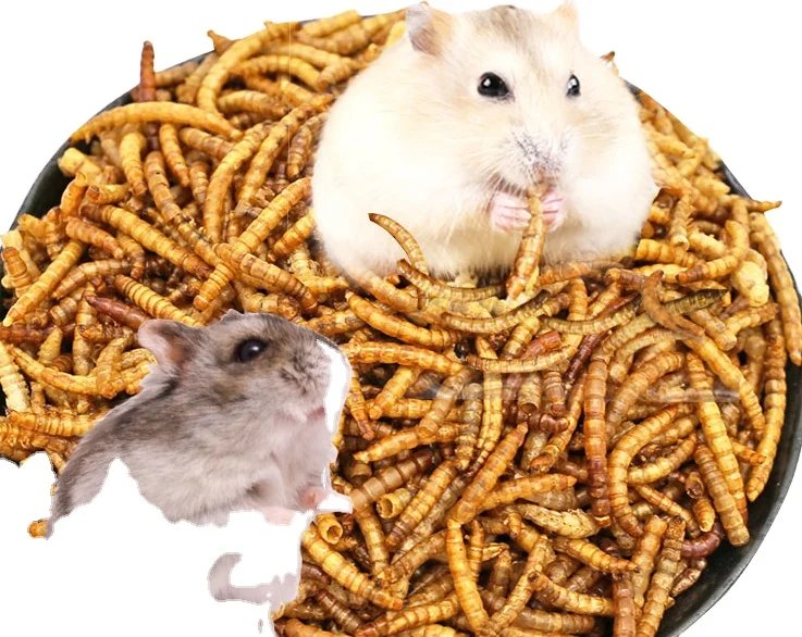 mealworm feed cricket mealworm food turtle gecko mealworm bulk pet food