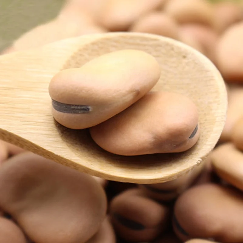 Дешевая коричневая и зеленая фасоль, очищенные бобы для экспорта