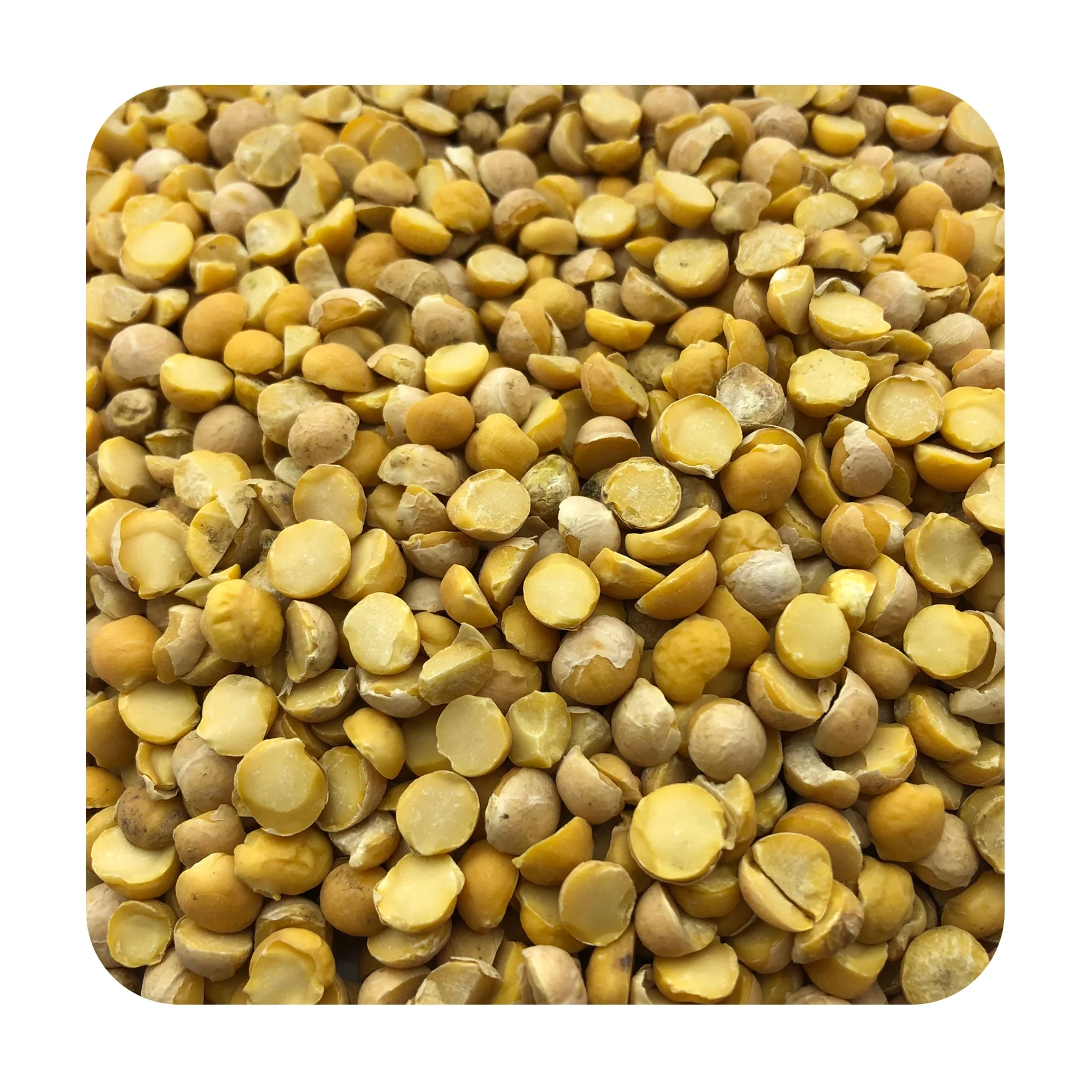 
Quality split chickpeas 25/35 kg bags or in bulk, product of Russia 