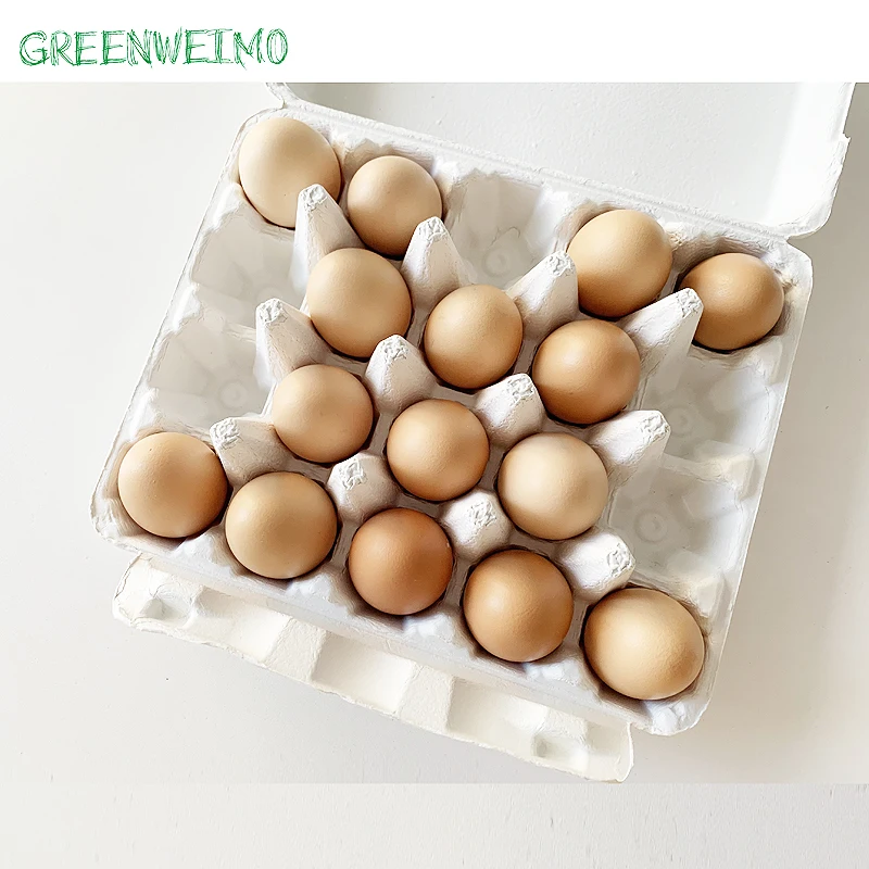 Eco Friendly Biodegradable 100% Compostable  Food Packaging Clamshell Recycling For Egg Cartons