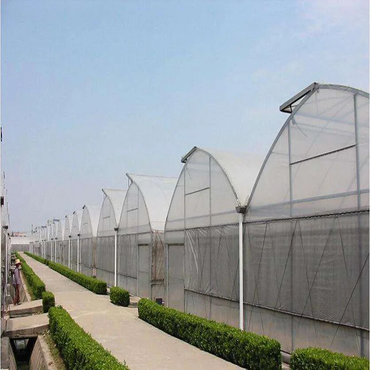 
2020 newest and low cost multi span film greenhouse on hot sale 
