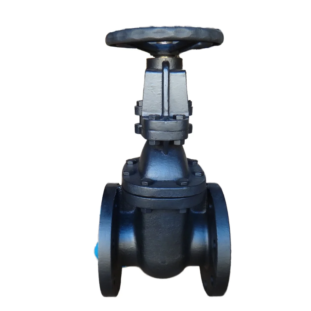 ANSI 150 Rising Stem Gate Valve Manual Hydraulic Power Metal to Metal Structure for Water and Gas Safety Control