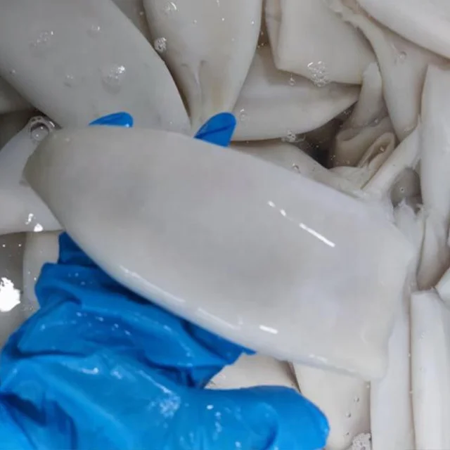 Frozen seafood Squid Tubes  squid tube