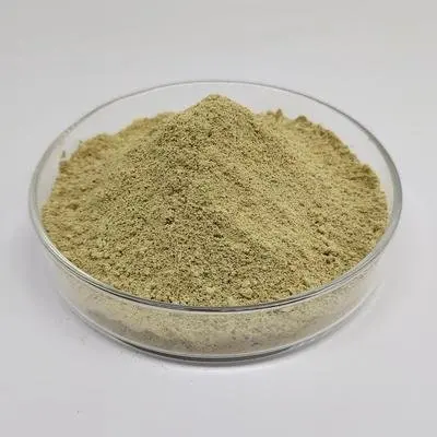 Sophora Japonica Extract luteolin powder 98% CAS 491 70 3 (1600586658101)