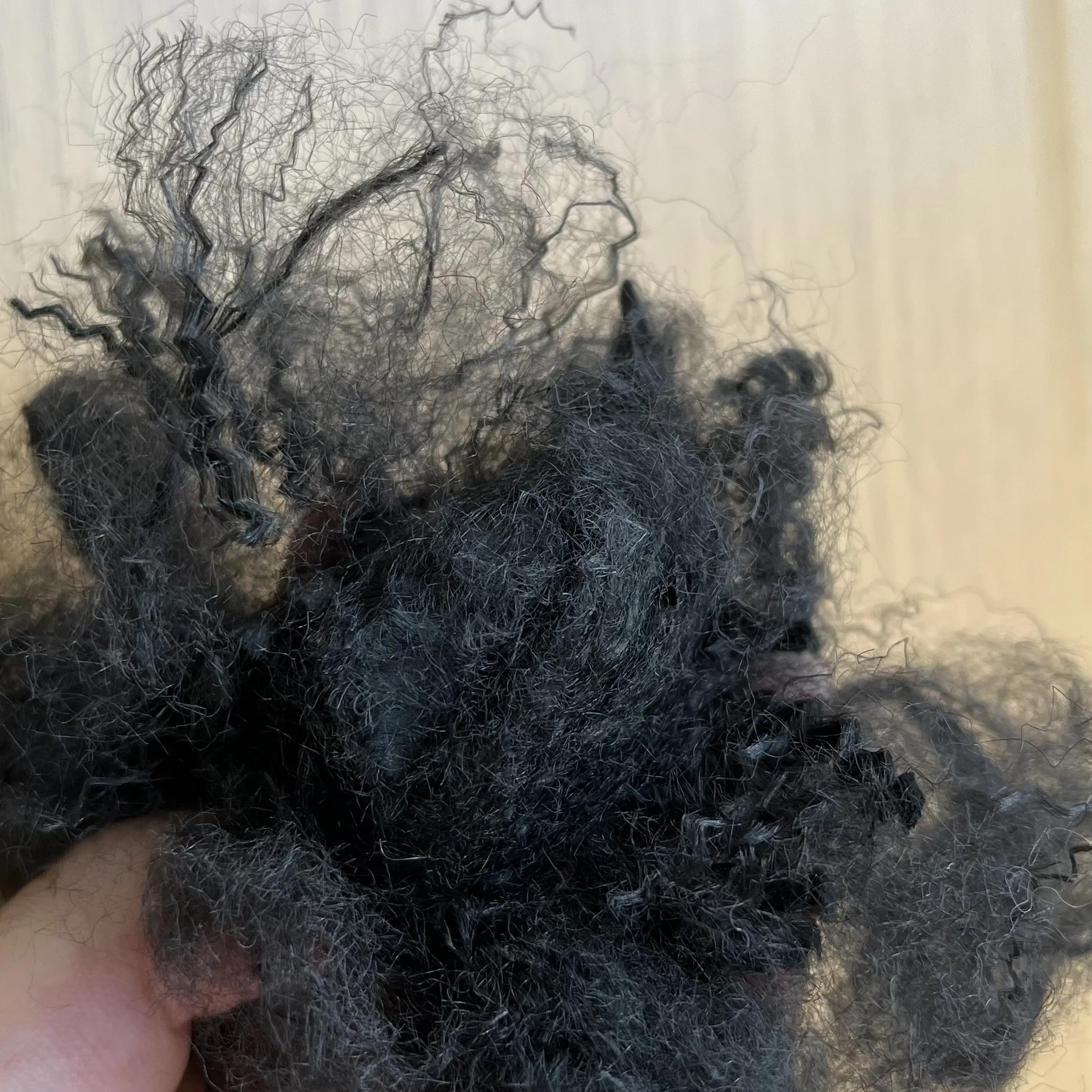 Black 4D 51mm low melt polyester white and high quality polyester Staple bicomponent fiber