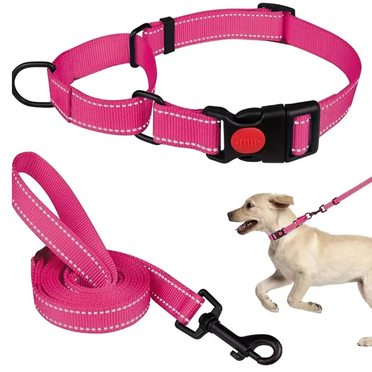 Heavy Duty OEM Popular Adjustable Durable Polyester Pet Accessories Dog Collar Leash Set For Medium Large Dogs