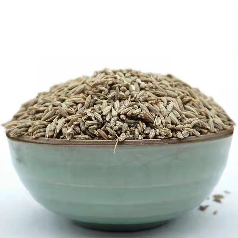 China Single spices&Herbs supplier wholesales high quality India cumin seeds food seasonings cumin spice top quality jeera seeds