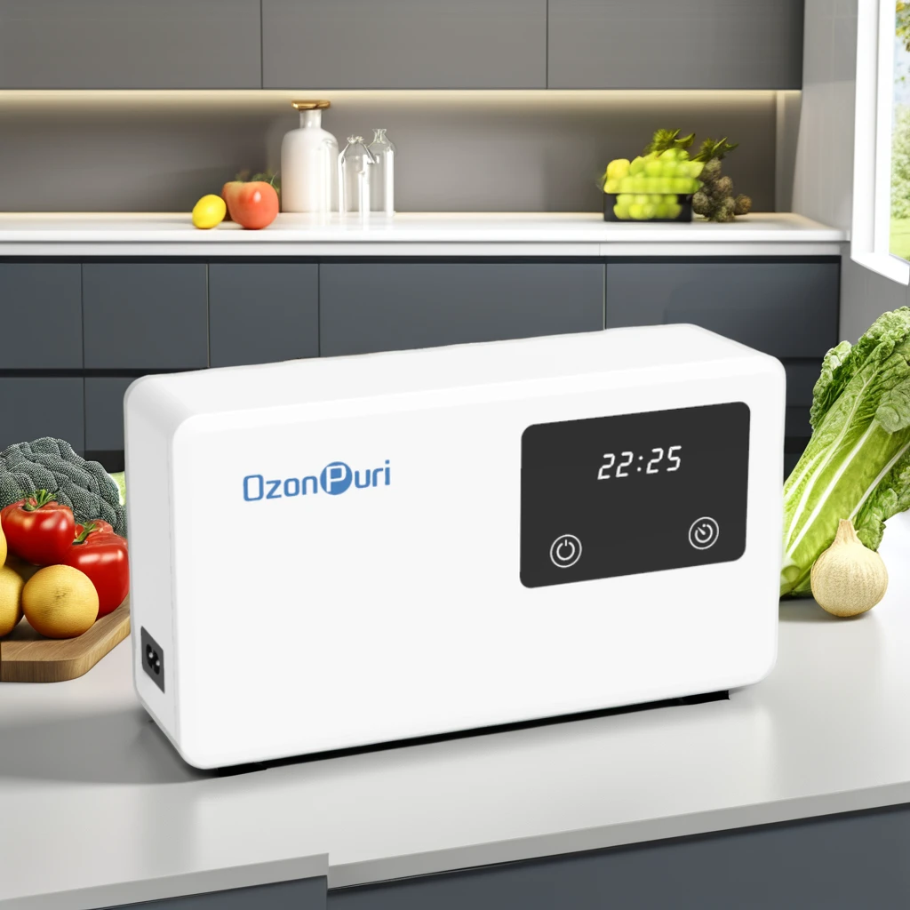 Electric Air Purification Ozone Device Anti-Bacterial Household Application Product