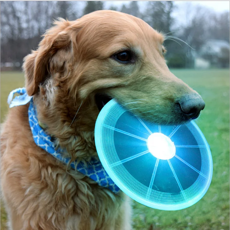 
Interactive Pet Dog Discuit Toy LED Light Up Flying Disc Toy for Dog 