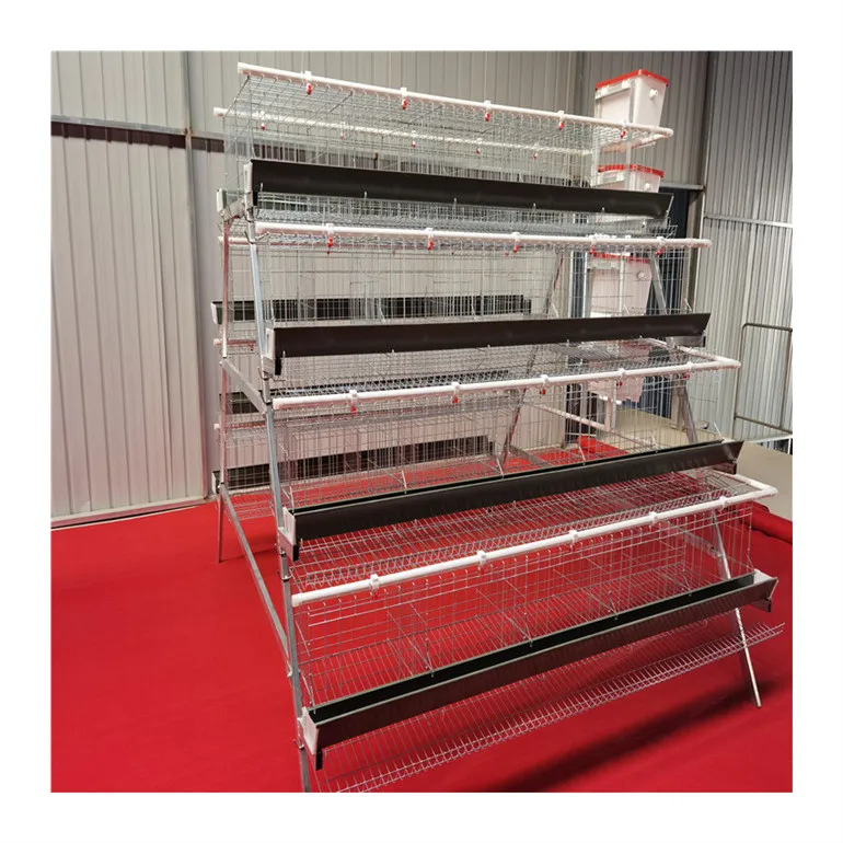 China poultry farm automatic chicken broiler cage/ broiler poultry farms/pigeon breeding parrot cages laying hens