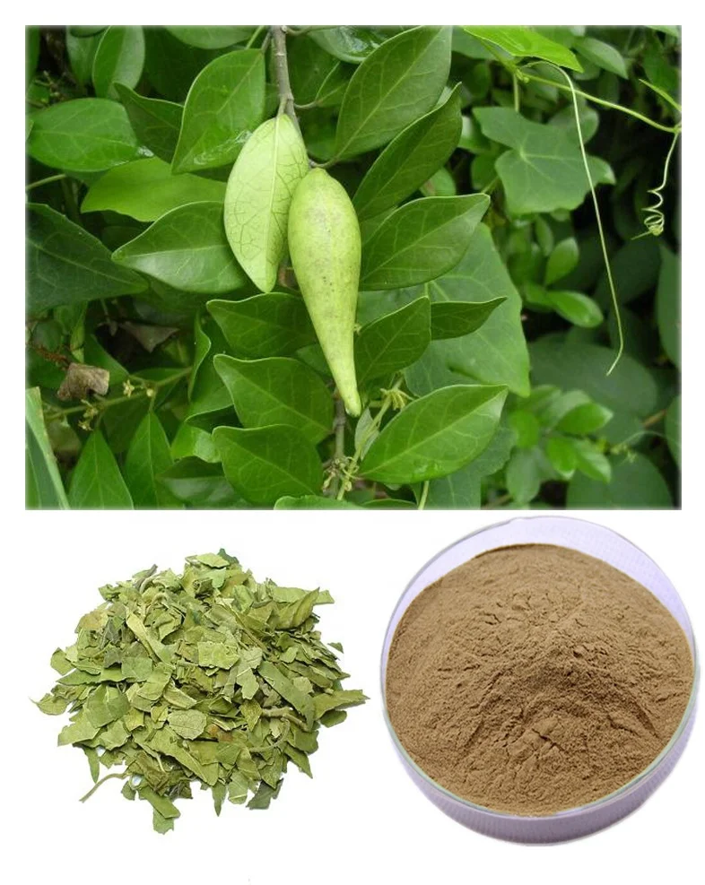 
Gymnema Sylvestre Extract 10:1 20:1 Gymnemic Acids 25% 75% Powder&OEM Service 
