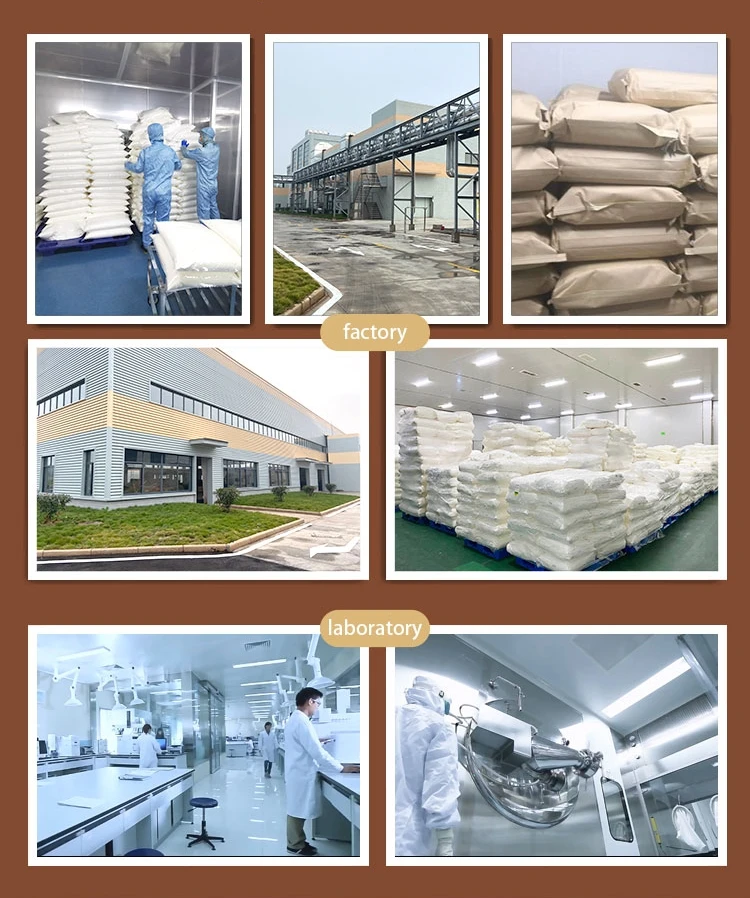 Chiti 100% natural Persimmon dried persimmon Canned Extract powder Persimmon Leaf Extract powder