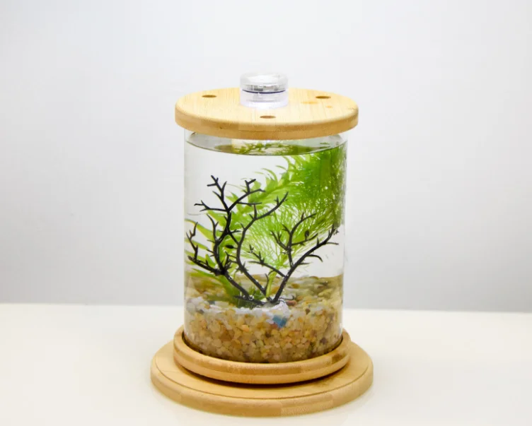 Rotating round fish tank table glass mini betta bottle small light fish tank