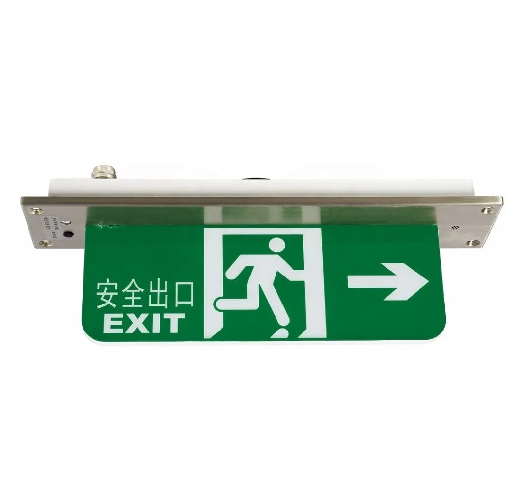 LED emergency exit light 2W customized pattern battery emergency recessed or surface type IP66