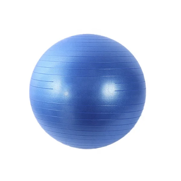 
Stability Training Fitness Exercise Balance Gym Yoga Ball 