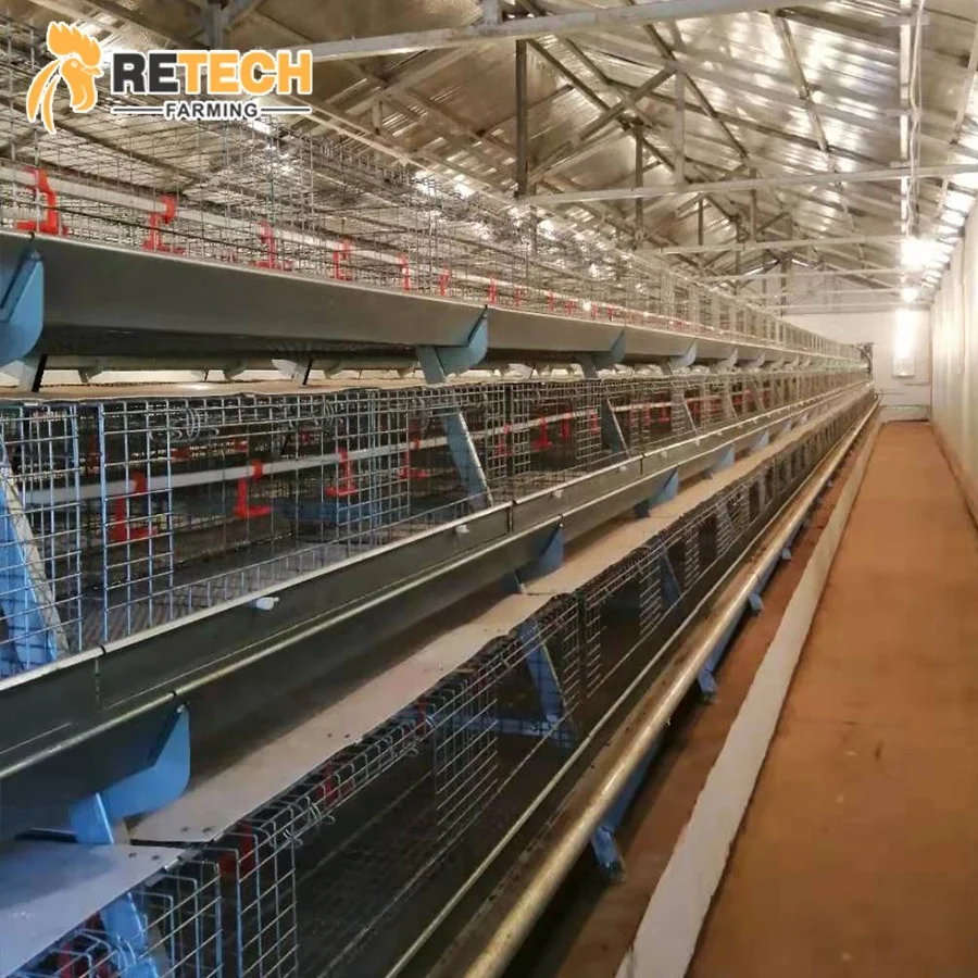 Poultry Farm Equipment Hot Dipped Galvanized a Type 3 Tiers Pullet Layer Rearing Chicks Chicken Cage for Sale