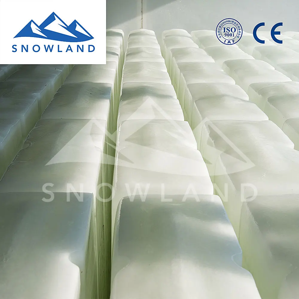2021 Snowland ice maker for fishery with capacity 5 ton block ice of Intelligent ice production equipment