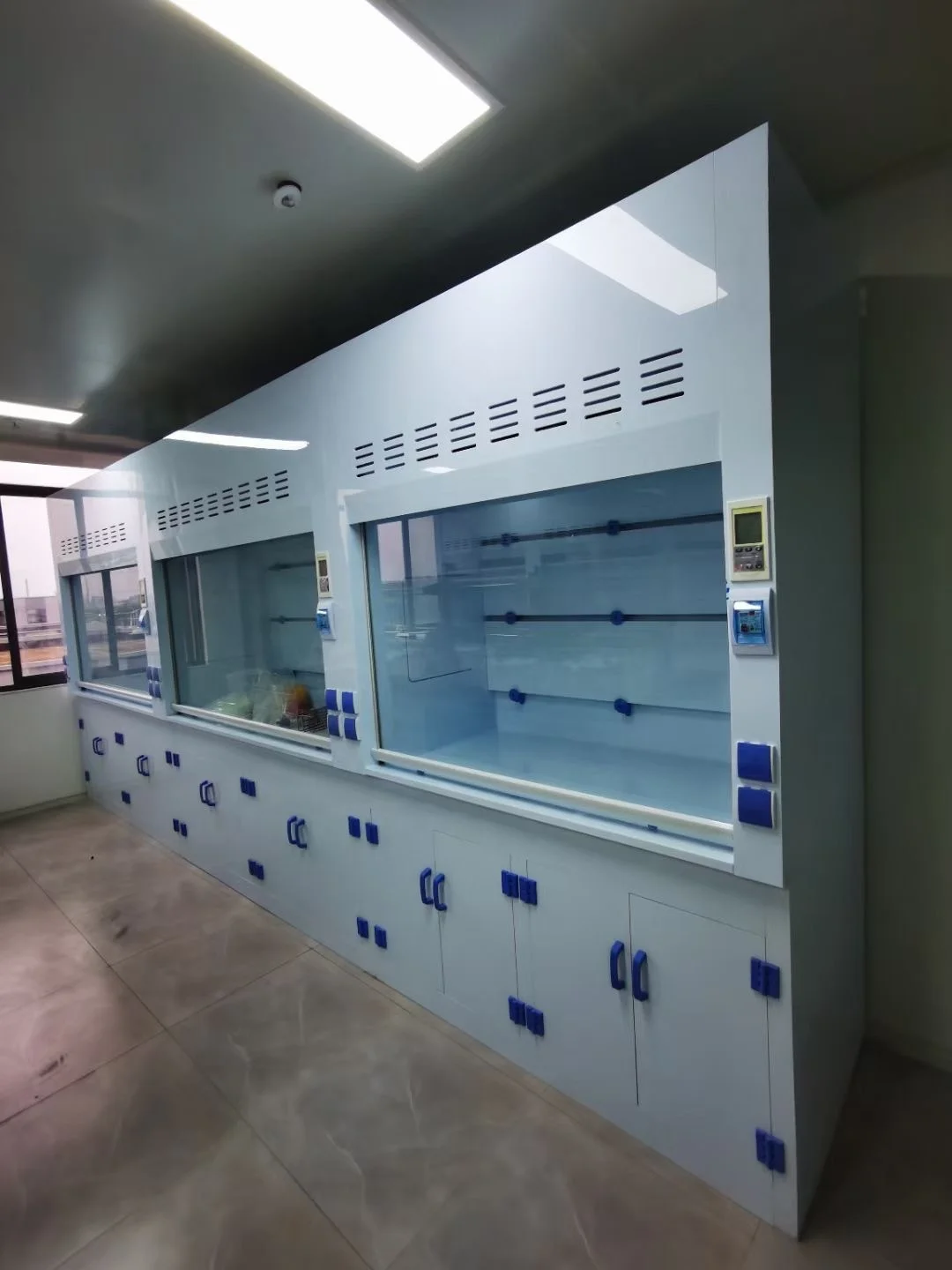 Laboratory furniture LAB scientific customized fume hood