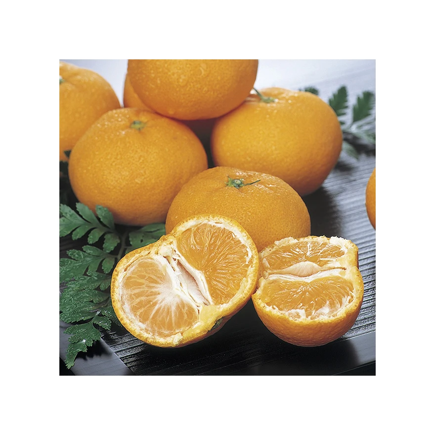 Японская оптовая продажа, линейка сельскохозяйственных продуктов хорошего качества