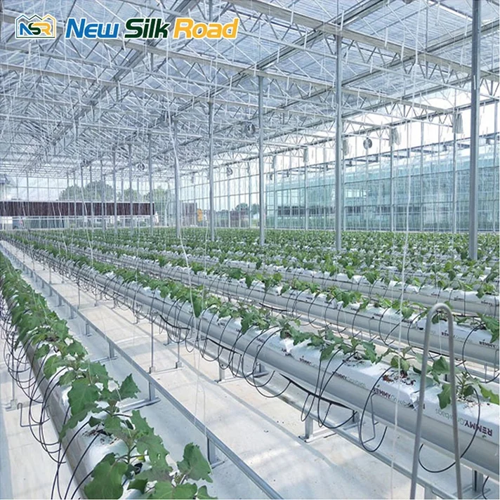 multi-span venlo glass polycarbonate greenhouse mini greenhouse glass greenhouse for agro