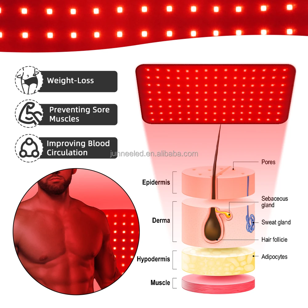 Portable 660nm 850nm red near infrared light Red light therapy equipment Animal Red Light Belt for Horse Dog Cat