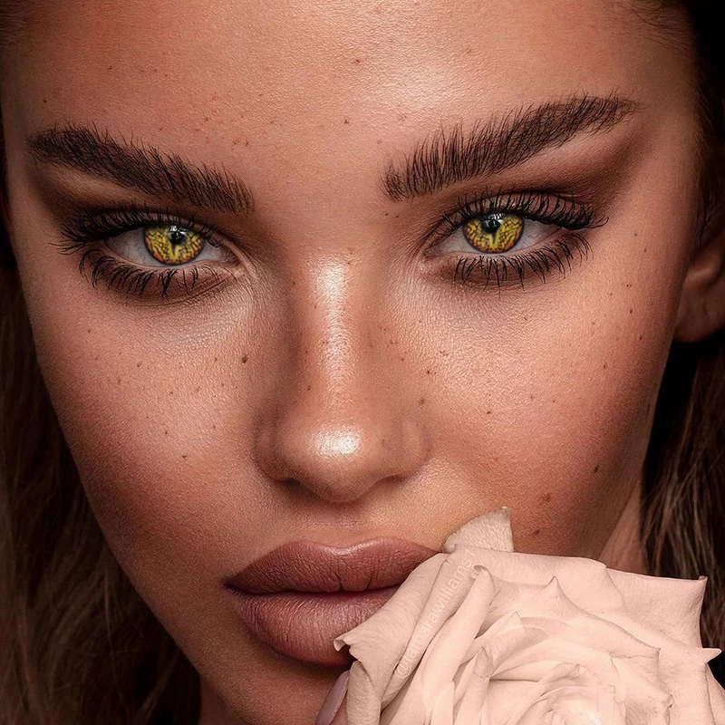 Fresh Lady New Design Brown Eye Cosmetic Wholesale Halloween Contact Lenses Crazy Lens Soft Natural Eye Colored Contacts Lenses