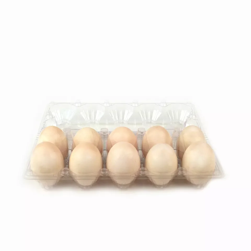 High Quality Transparent PET Plastic Egg Tray Plastic Egg Container for Sale