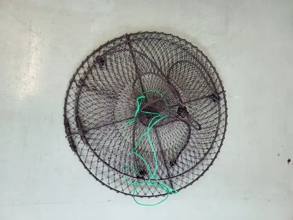 High Quality Shellfish Growing Baskets Various Fish Cage Lobster Trap