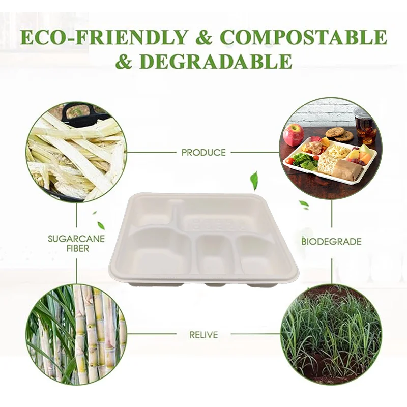 Rectangle Disposable Compostable  Sugarcane Bagasse Divided Plates Biodegradable 5 Compartment Paper Plate