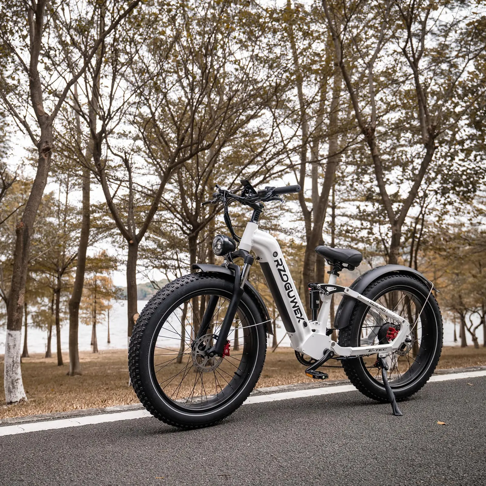 EU Warehouse Fast Shipping Original Ebike Fat Tire Fatbike 1000W Electric Bicycle Electric Mountain Bike for Adults