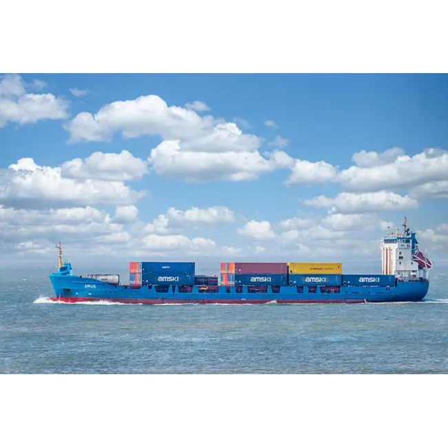 YIWU/SHENZHEN Экспедитор DDP от двери до морской агент доставки экспресс DPD/GLS/DHL/BRT/OULALA из Китая в Германию