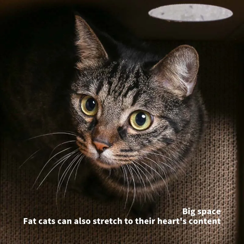 Factory wholesale price support customised interior decoration cardboard milk houses for cats