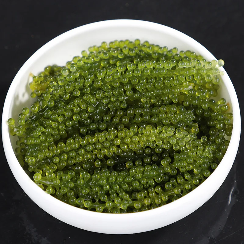 LONGEVITY DEHYDRATE LATO SEAWEED