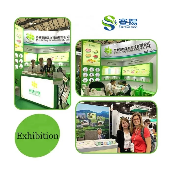 Factory Supply 5 HTP Powder Best Griffonia Simplicifolia Seed Extract Powder Price Griffonia Seed Extract