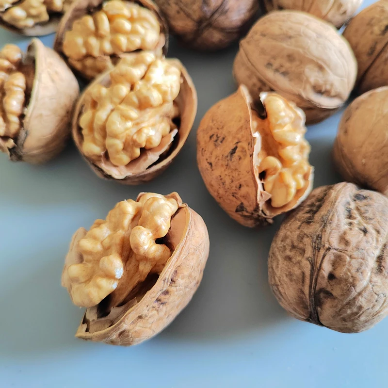 China Factory Supply Quality 185 Walnuts For Export