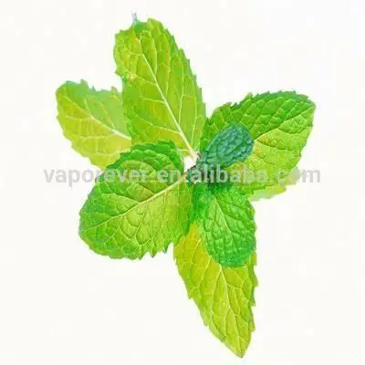 Мятный концентрат, ароматическая эссенция для жидкости