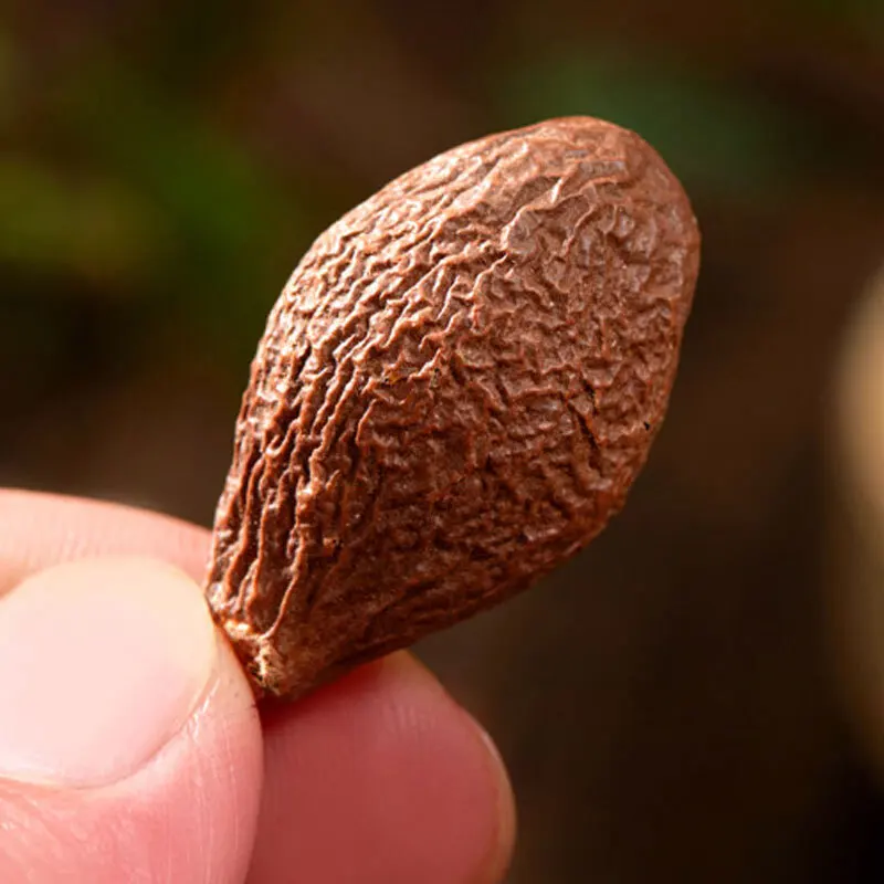 Quality Natural  Fat sea tea Healthy Pangdahai Tea  Slimming Tea