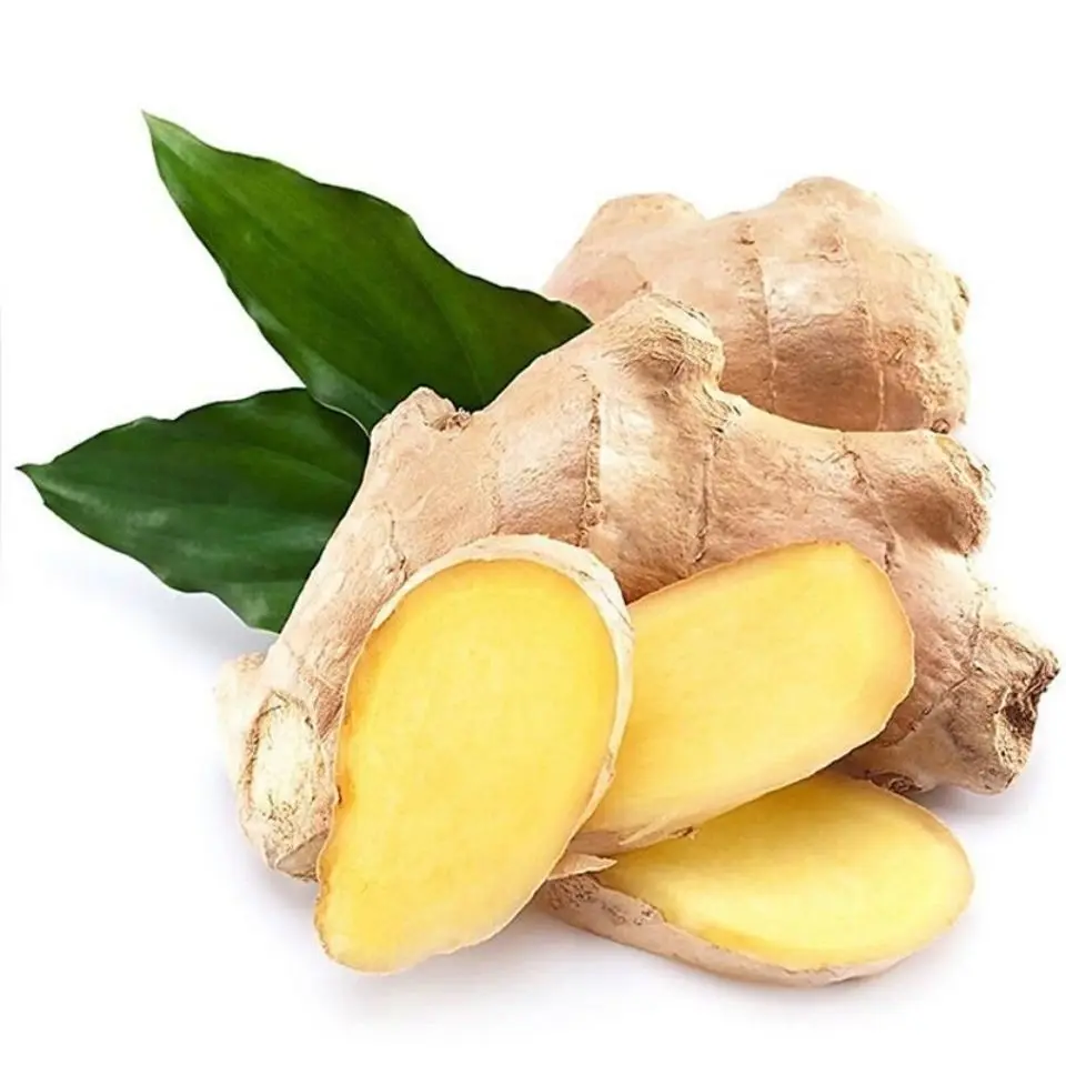 Best 1Kg Fresh Ginger Price Top Grade chinese mature super ginger With Customized Ginger Packaging
