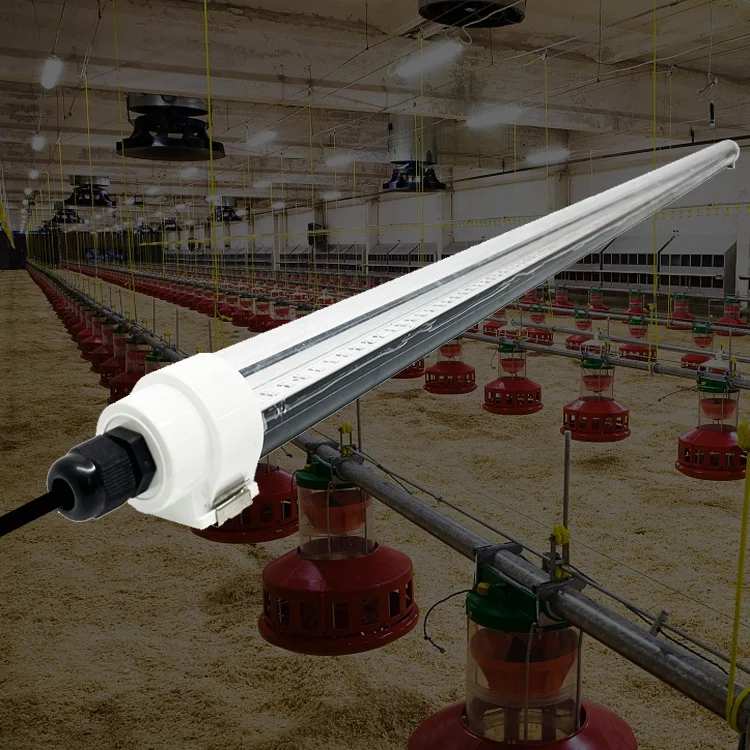 ip67 t12 waterproof dimmable led tube poultry light for chicken Poultry Shed Farm House